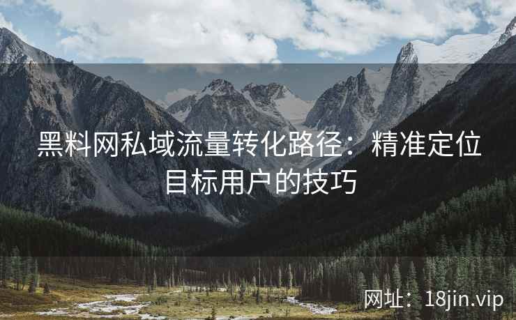 黑料网私域流量转化路径：精准定位目标用户的技巧