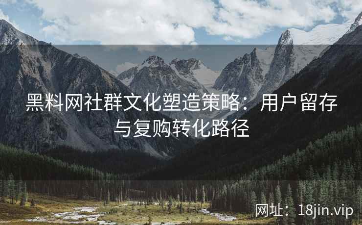 黑料网社群文化塑造策略：用户留存与复购转化路径